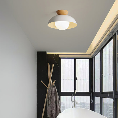 Moderne minimalistische milieuvriendelijke plafondlamp