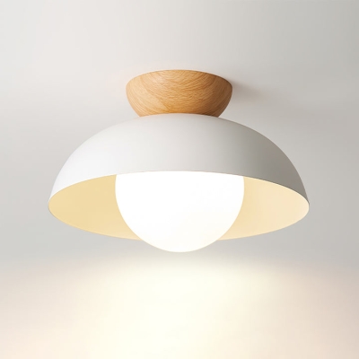 Moderne minimalistische milieuvriendelijke plafondlamp